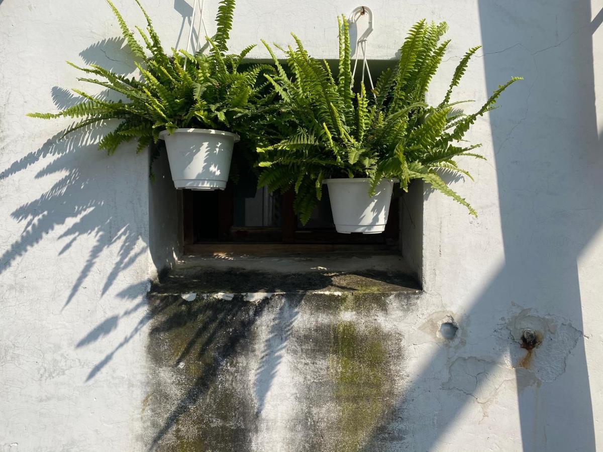 緩緩歸 Slow Living Tainan Eksteriør billede